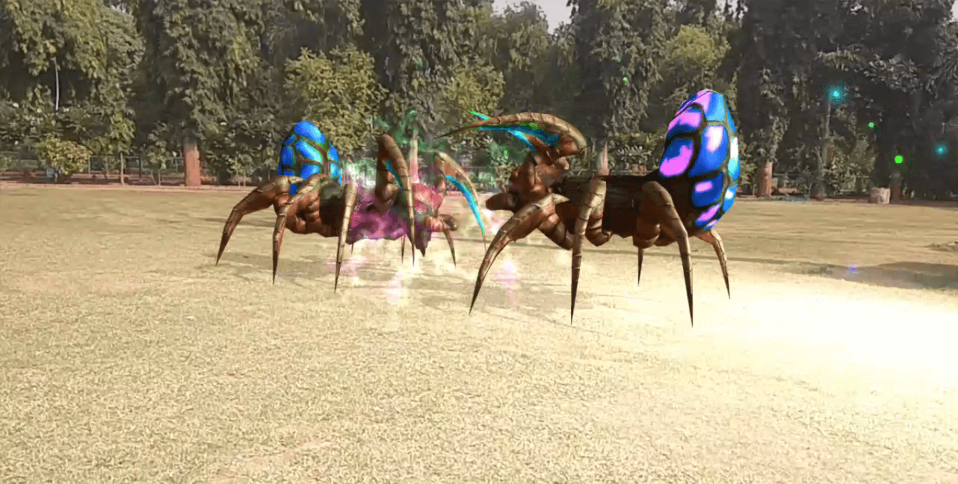 Gigantic spiders are fighting