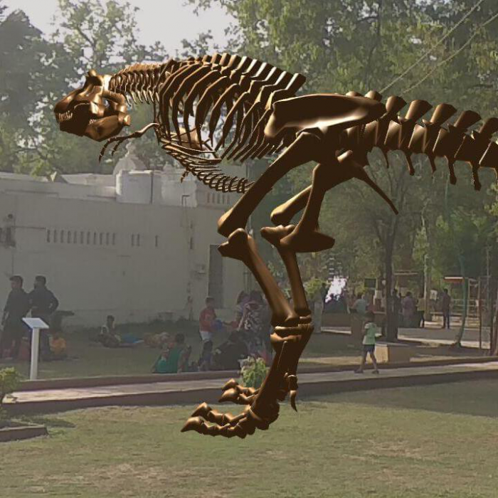 T-Rex Skeleton