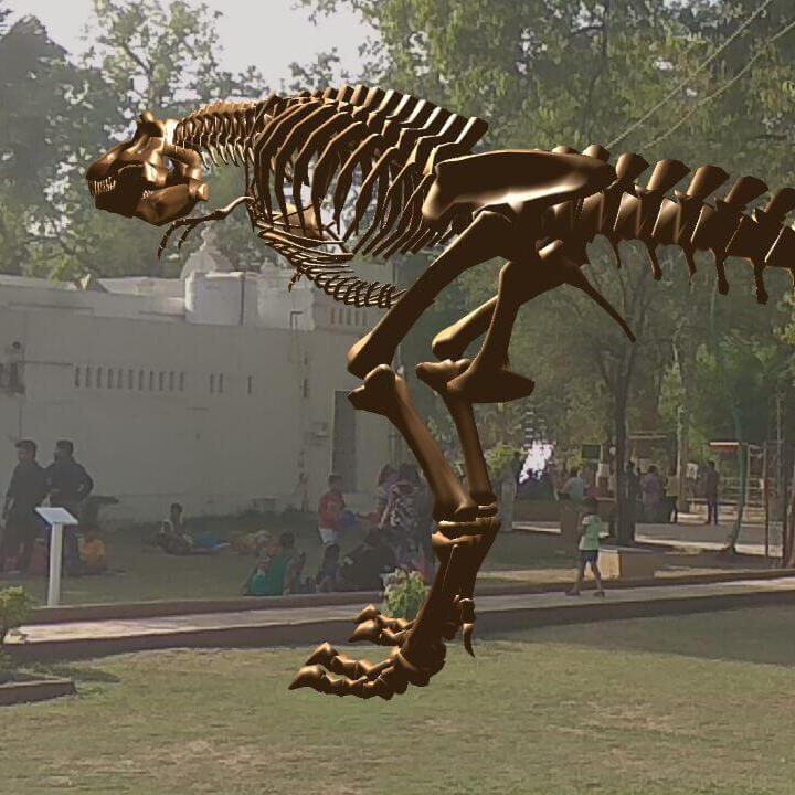 T-Rex Skeleton