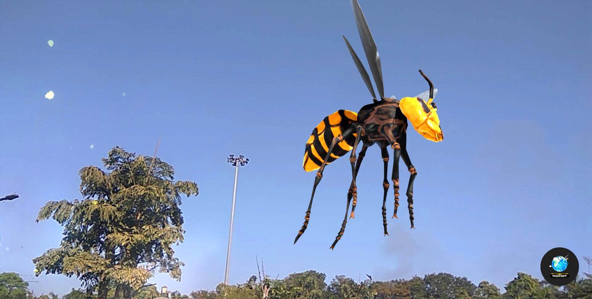 Giant Hornets