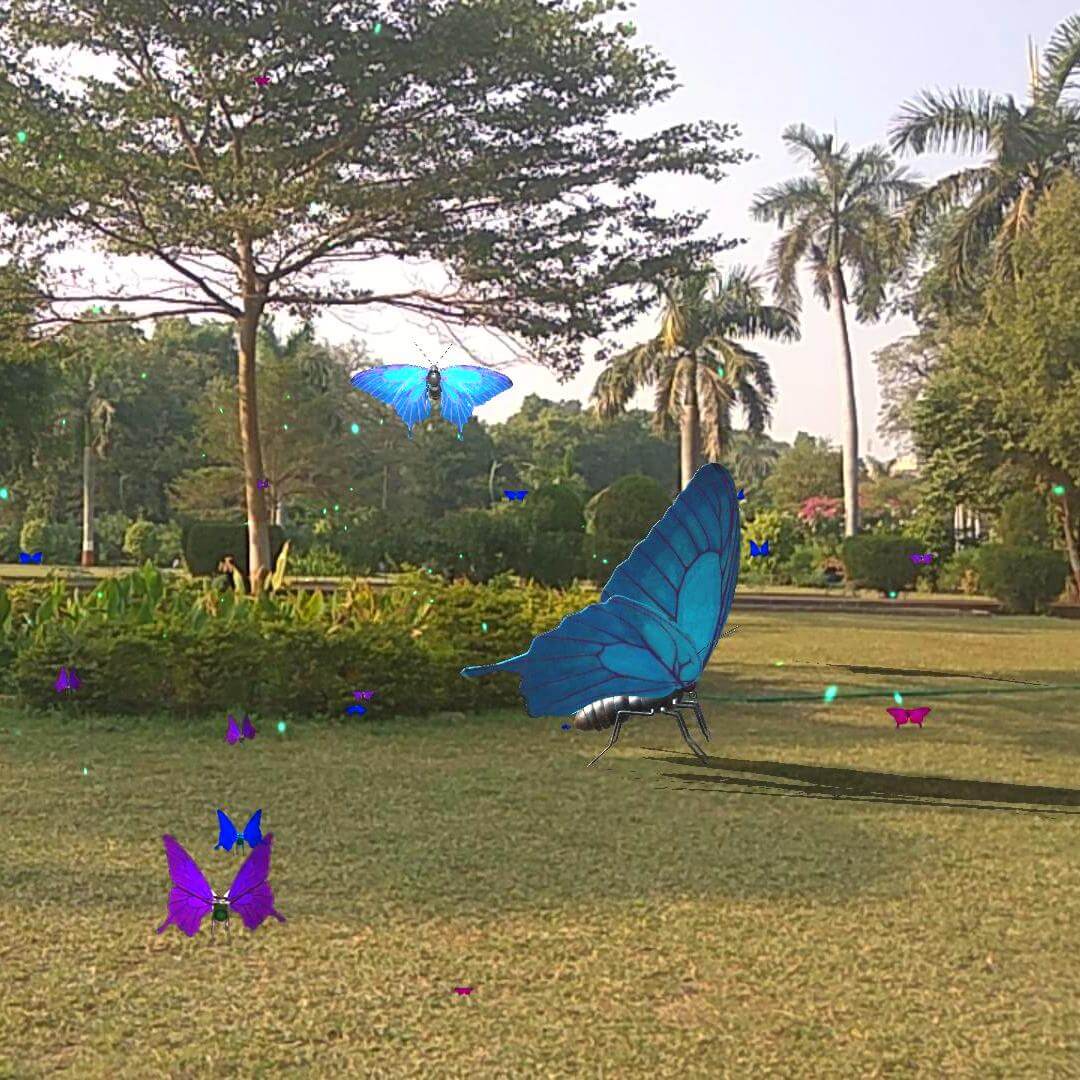 Butterfly Land